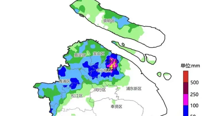 上海暴雨致复旦校园多处积水,校方回应:通行已恢复