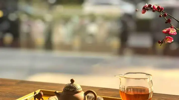 会喝茶的人更懂得生活真谛