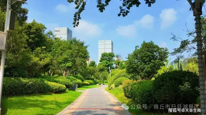 7月来商丘日月湖 启幕清凉消夏之旅