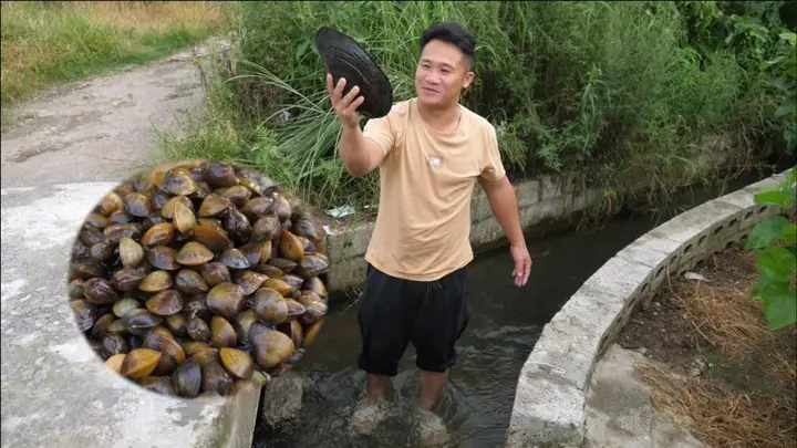 中国人对河鲜海鲜都来者不拒,为啥没啥人吃河蚌呢?是因为难吃还是不会做呢?