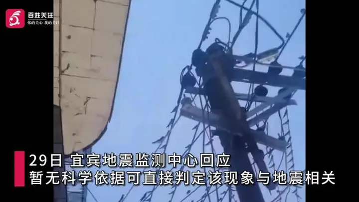 宜宾高县地震前数百只燕子聚集电线杆 官方:无法直接判定与地震相关