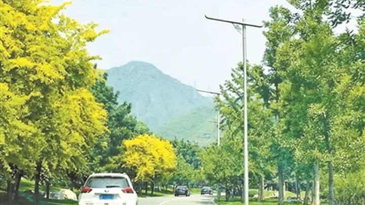 乌鲁木齐、成都等成暑期自驾游热门目的地