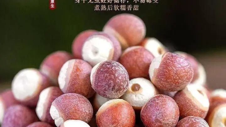 夏季消暑煲汤的必备食材:芡实的选用与煲汤心得