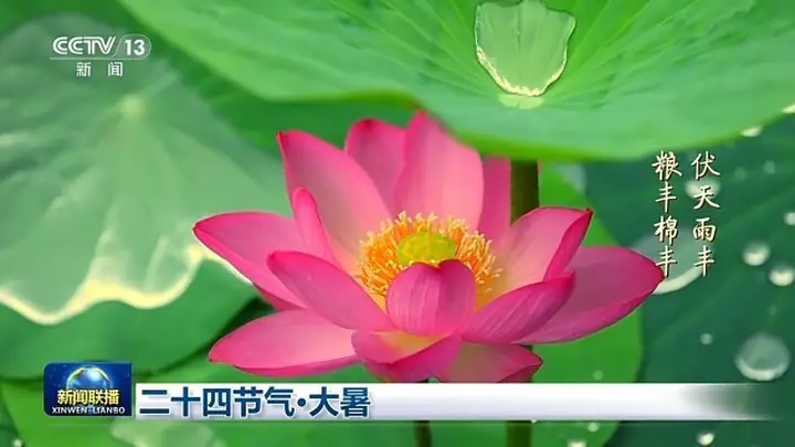 文化中国行丨二十四节气·大暑 感受盛夏最浓时