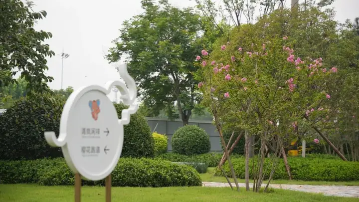 潍坊象主题公园建成开放！位置在这儿~