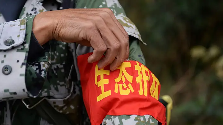 学习进行时丨“人不负青山,青山定不负人”