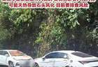 贵州赤水丹霞大瀑布景区山体落石致游客受伤车辆被砸 官方排查风险点