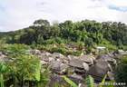 纵五·古道秘境丨澜沧自驾，重走茶马古道，感受茶乡民族风情