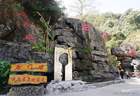 去云南赴一场山野与茶香之约（南恩瀑布、哀牢山新平石门峡）