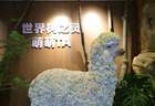 上海193场文博美术大展等你来 文旅联票7月8日发售
