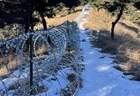 泰山外围建135公里滚筒式刀片刺绳隔离铁丝网,景区回应批评