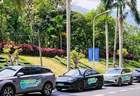 中国首个！2030年全面禁售燃油车！