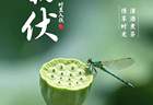 明日入伏，强烈建议中老年：明日早餐吃这4种，精神抖擞一整天！
