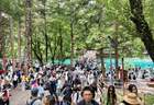 九寨沟景区全面恢复迎客 首日接待游客超2.3万人次