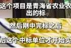 青海拉面“三店合一”样本店招募启动 2026年省外将新建400家门店