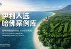 三度入选哈佛案例库，伊利出海二十年：一家中国乳企的全球化实战样本