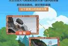徒步旅行需防范地质灾害， 收藏这份“安全锦囊”，很有必要！