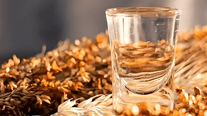 第一次喝酱香酒觉得有股怪味,这是正常的吗?