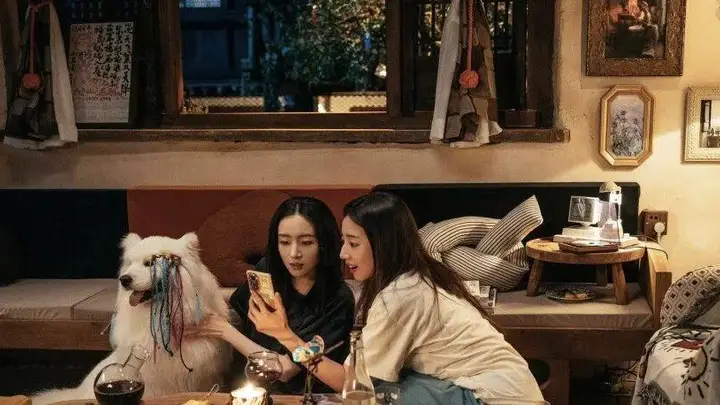 她们的合照,与合照中的她们|新京报中文学术文摘