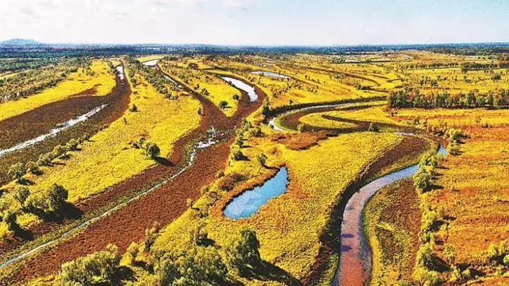 虎林:界江铸丰碑 湿地蕴生机