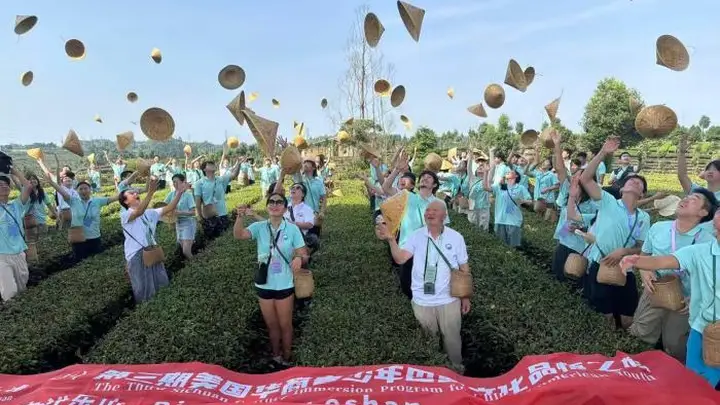 一篓青叶,一首“怪诗”,一群华裔少年的寻根新注解