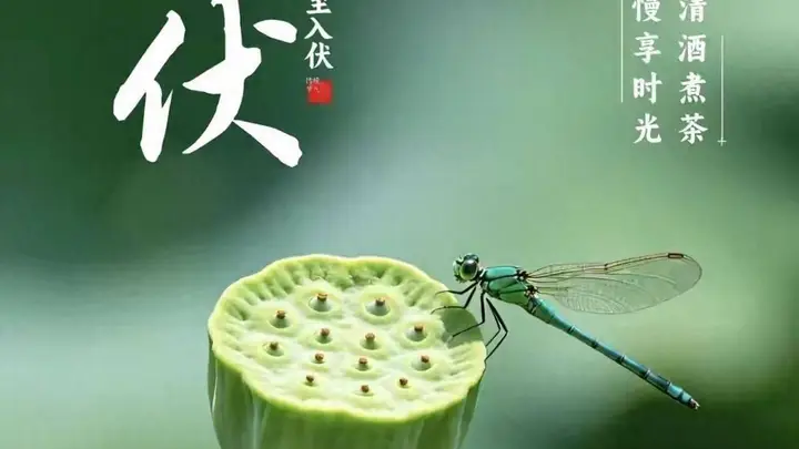 明日入伏，强烈建议中老年：明日早餐吃这4种，精神抖擞一整天！