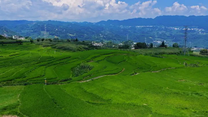 大方县小屯乡:千亩梯田,还你夏日清凉