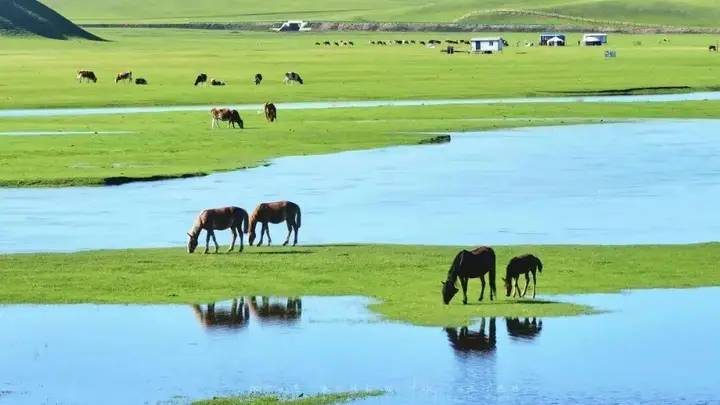内蒙古多地成《中国国家地理》推荐避暑胜地,七月风光正当时