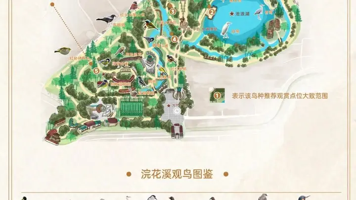 浣花溪公园观鸟地图上新，一园看遍259种鸟类