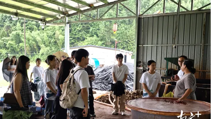 零距离触摸本土匠心,连山福堂青年研学非遗赋能乡村发展