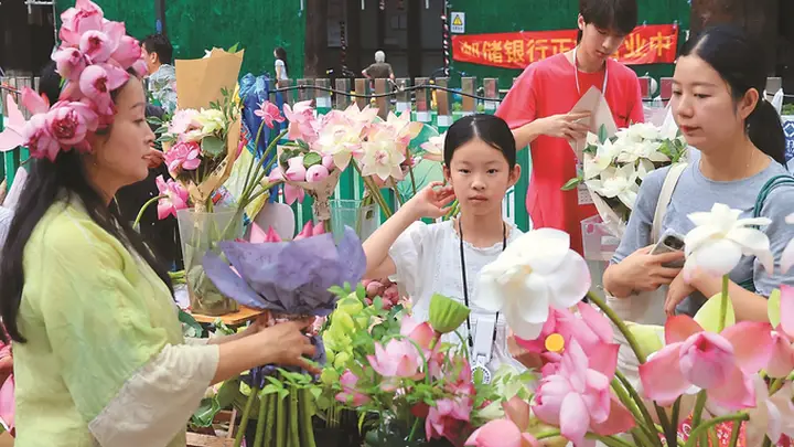 君到姑苏见,人家尽“整”荷