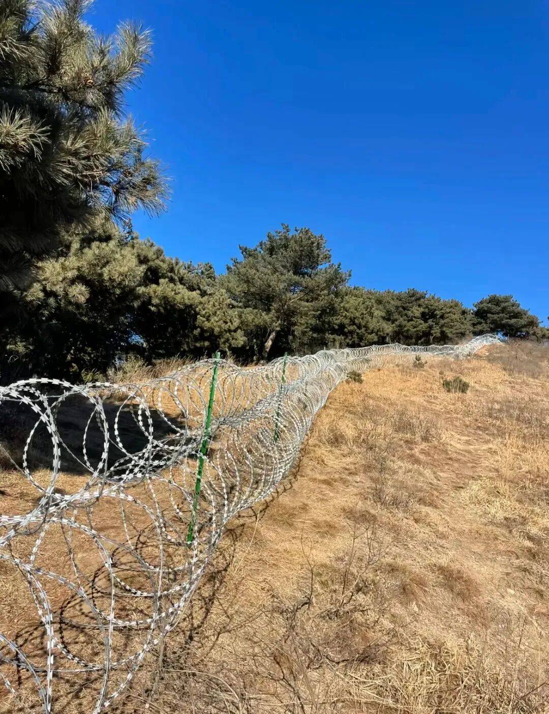 泰山建“刀片刺绳铁丝网”引关注，景区回应