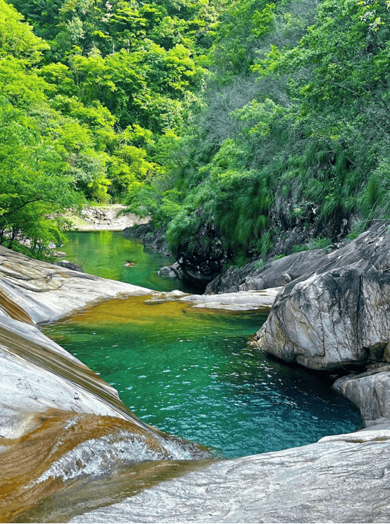 丽水赴沪发布避暑旅居精品路线，送上“秀山丽水新村民”邀请函