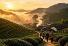 一城一叶|少有人知的小众茶乡,风土人情远比茶叶动人