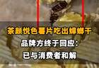 【茶颜悦色薯片吃出蟑螂干，品牌方终于回应啦：已与消费者和解。同款产品未下架，仍在正常陈列销售】
