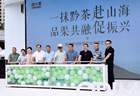 首届贵州抹茶产业发展交流会圆满举行，抹小茗全国五店同启！