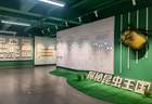 珍稀标本+活体展演 昆明动物博物馆打造沉浸式昆虫科普盛宴