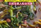 广西南宁一女子吃螺蛳粉竟吃出一条蛇，称连解释和安抚都没有；涉事摊主发声明：就顾客吃出小菜花蛇一事，诚恳致歉并愿赔偿