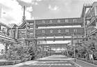 大连推进“减油增化”转型升级 打造五千亿级绿色石化产业集群