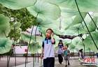 浙江杭州：孔庙“府学荷香”引客来