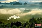 武夷山国家公园云海日出如画