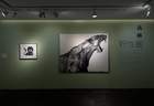 在荣宝斋当代艺术馆，看画家笔下的“万物生灵”