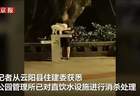 “宠物狗使用公共直饮水”引争议，多地回应
