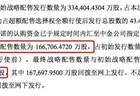 分掉16.67亿股，长鑫科技战配名单阵容豪华
