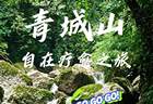 青城山六处疗愈秘境：寻觅自在闲适时光