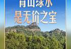 习言道｜走进茶园，习近平强调做好这篇“大文章”