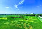 山水王佐 夏觅清凉丨王佐镇佃起村稻田画进入最佳观赏期
