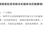 宁夏银川西夏陵景区马伤处置后续工作将于即日起全面展开