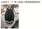9月X日（活动启幕时间） 深色蛋糕是否含过量色素？烘焙业与食品专家给出权威解读 沈阳烘焙分会同步发布安全选购提示