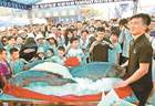 大鹏南澳：尝鲜特色“开渔宴”